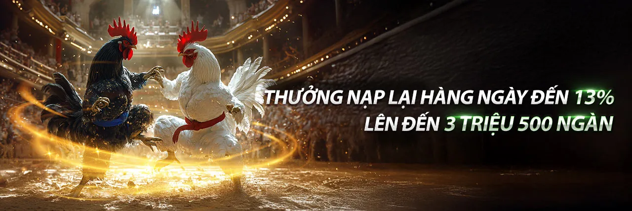 Đá gà trực tiếp 14 tháng 10 – Trận đấu kịch tính