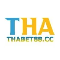 thabet top 1 vn